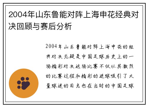 2004年山东鲁能对阵上海申花经典对决回顾与赛后分析