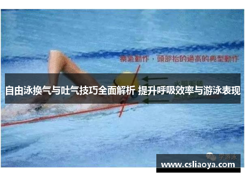 自由泳换气与吐气技巧全面解析 提升呼吸效率与游泳表现