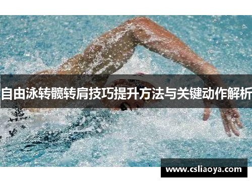 自由泳转髋转肩技巧提升方法与关键动作解析