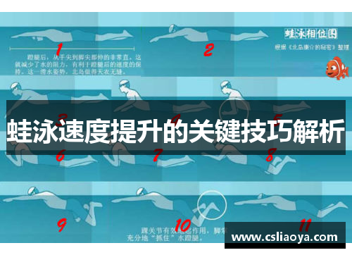 蛙泳速度提升的关键技巧解析