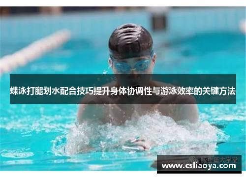 蝶泳打腿划水配合技巧提升身体协调性与游泳效率的关键方法