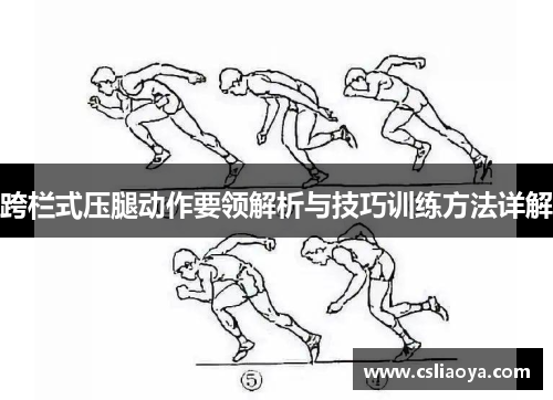 跨栏式压腿动作要领解析与技巧训练方法详解