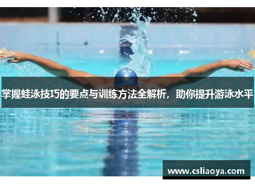 掌握蛙泳技巧的要点与训练方法全解析，助你提升游泳水平