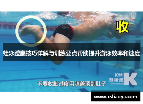 蛙泳蹬腿技巧详解与训练要点帮助提升游泳效率和速度