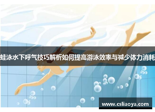 蛙泳水下呼气技巧解析如何提高游泳效率与减少体力消耗